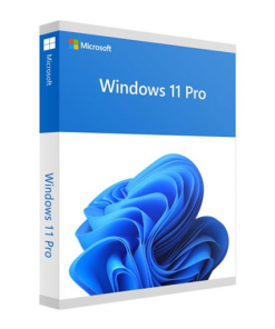 Microsoft Office 2021 Professional Plus ESD 1 PC 