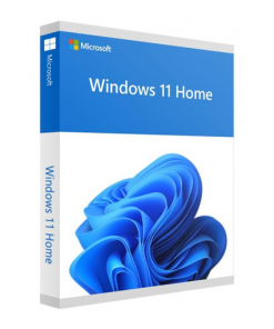 Microsoft Office Professional Plus 2021 - Windows